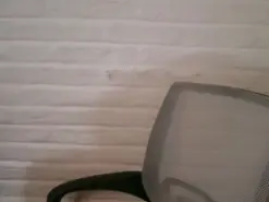 Amateur Free Porn Cam of LadyEris