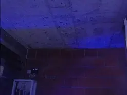Amateur Best live sex cam show of taniaqueen19