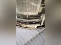 Amateur Live Porn of salome_lust