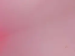Amateur Live Sex Cam of Shopie_Colucci