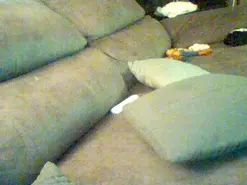 Amateur Free Live Porn of TyeMorboparty