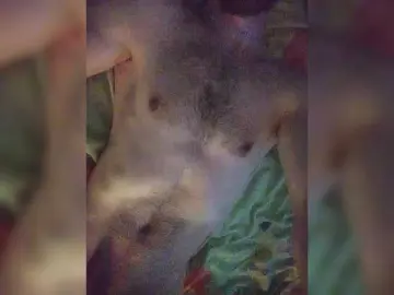 Bongacams Sex Cam of Incognitosexy