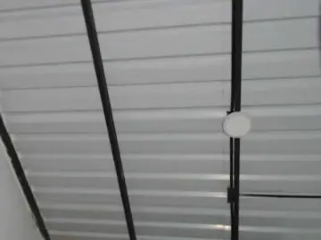 Bongacams Free Live Porn of candylovet