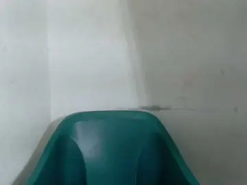 Bongacams Sex Cam of Sugarxpussy