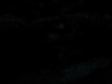 Bongacams Live Sex Cam of YourSweetxSin