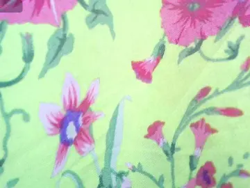 Bongacams Sex Chat of -WINNI-PUX-