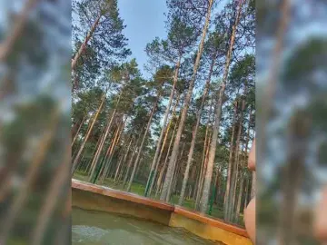 Bongacams Live Sex of Jonneb