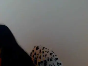 Bongacams Free Live Porn of meganmiauu