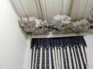 Bongacams Best Webcam of LauuuG