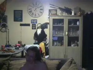 Cam4 Free Live Porn of butterflys3