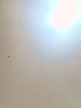 Cam4 Nude Webcam of Daddyslut4u