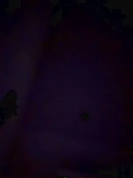 Cam4 Adult Webcam of Lana226