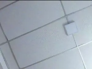 Cam4 Free Live Porn of emilyy__rosse