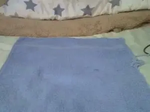 Cam4 Live Porn of Polly_candy