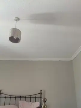 Cam4 Free Live Porn of Roxy_roo2601