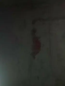 Cam4 Live Porn of belencita320