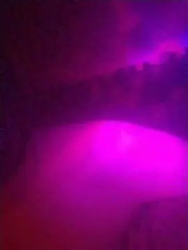 Cam4 Sex Cam of fantasy4roll