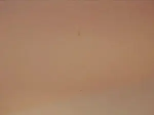 Cam4 Live Sex of JonaPutnam