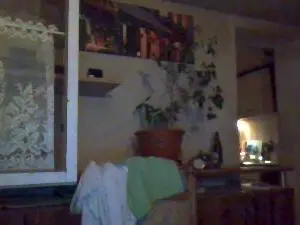 Cam4 Watch Live Sex Cams of Tannileinchen3