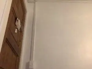 Cam4 Free Porn Cam of Javierapalacios