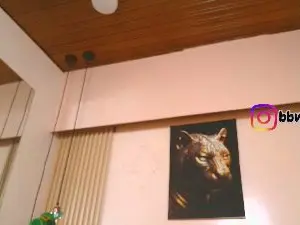 Cam4 Sex Chat of virtual_charm
