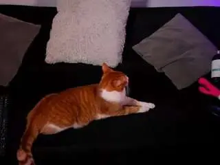 Camsoda Sex Cam of nico-ruiz
