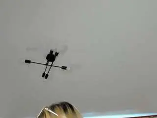 Camsoda Private Sex Chat of valerie-woods