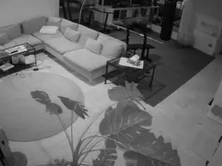 Camsoda Sex Cam of voyeurcam-julmodels-living-2