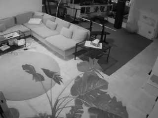 Camsoda Adult Webcams of voyeurcam-julmodels-living-2