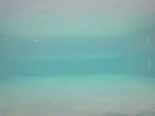Camsoda Live Porn of voyeurcam-casa-salsa-pool-1