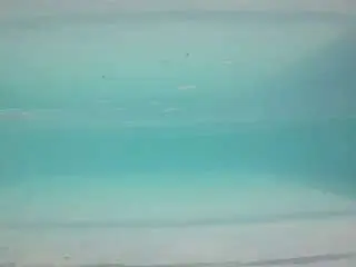 Camsoda Free Live Porn of voyeurcam-casa-salsa-pool-1