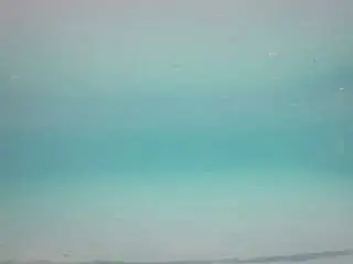 Camsoda Live Sex Cam of voyeurcam-casa-salsa-pool-1