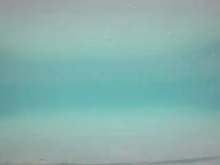 Camsoda Best live sex cam show of voyeurcam-casa-salsa-pool-1