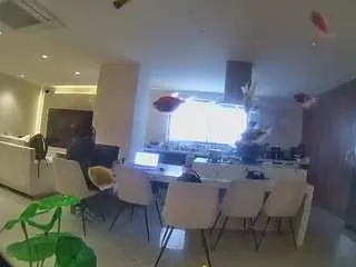 Camsoda Sex Cam of voyeurcam-casa-salsa-fishtank