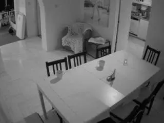 Camsoda Adult Webcam of voyeurcam-julmodels-dining