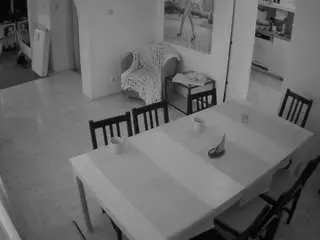Camsoda Adult Webcams of voyeurcam-julmodels-dining