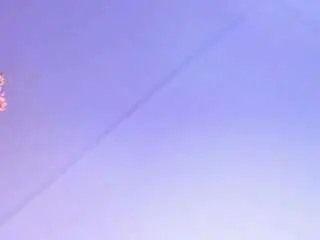 Camsoda Live Porn of sandramiler