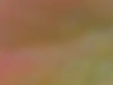Chaturbate Best live sex cam show of sharonrodrigueez