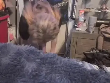 Chaturbate Sex Cam of pizzedwife