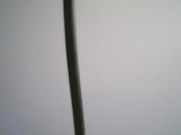 Chaturbate Sex Chat of black_tentationx
