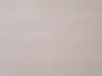 Chaturbate Adult Webcam of bella_wiild