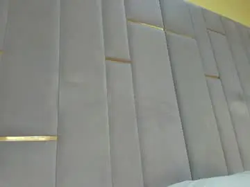 Chaturbate Best Webcam of evalims