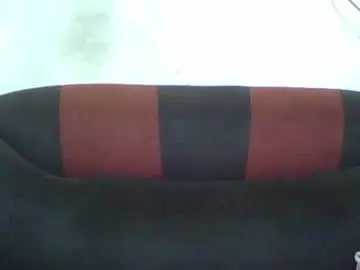Chaturbate Live Sex of queencharity