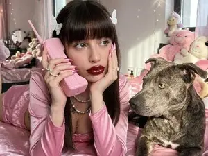 Myfreecams Adult Webcam of annisefoxy
