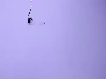 Stripchat Free Porn Cam of Renata_reyes11