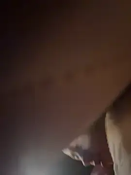 Stripchat Sex Cam of Hall_16