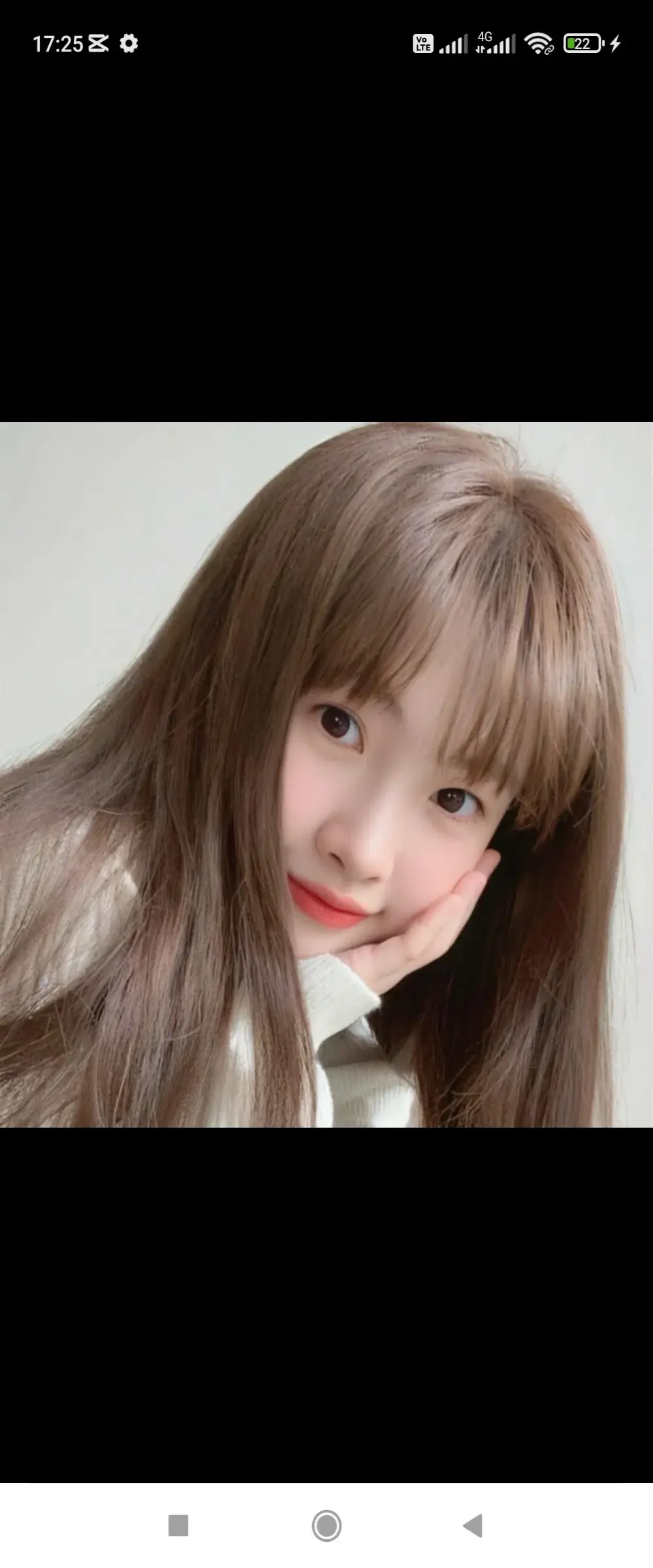 Hoa-tuylip