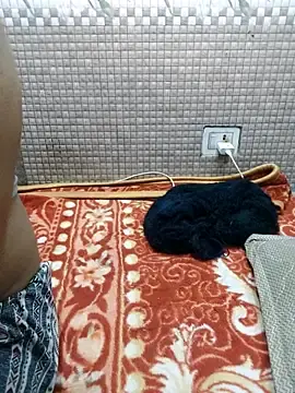 Stripchat Free Porn Cam of Aashiya_khan0