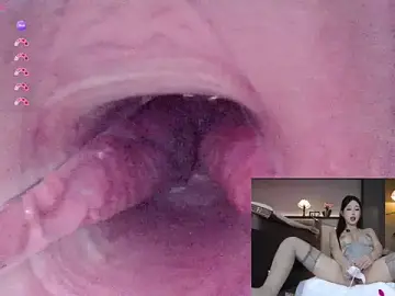 Stripchat Free Live Porn of AYW-21