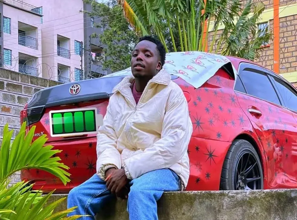 king_baridi